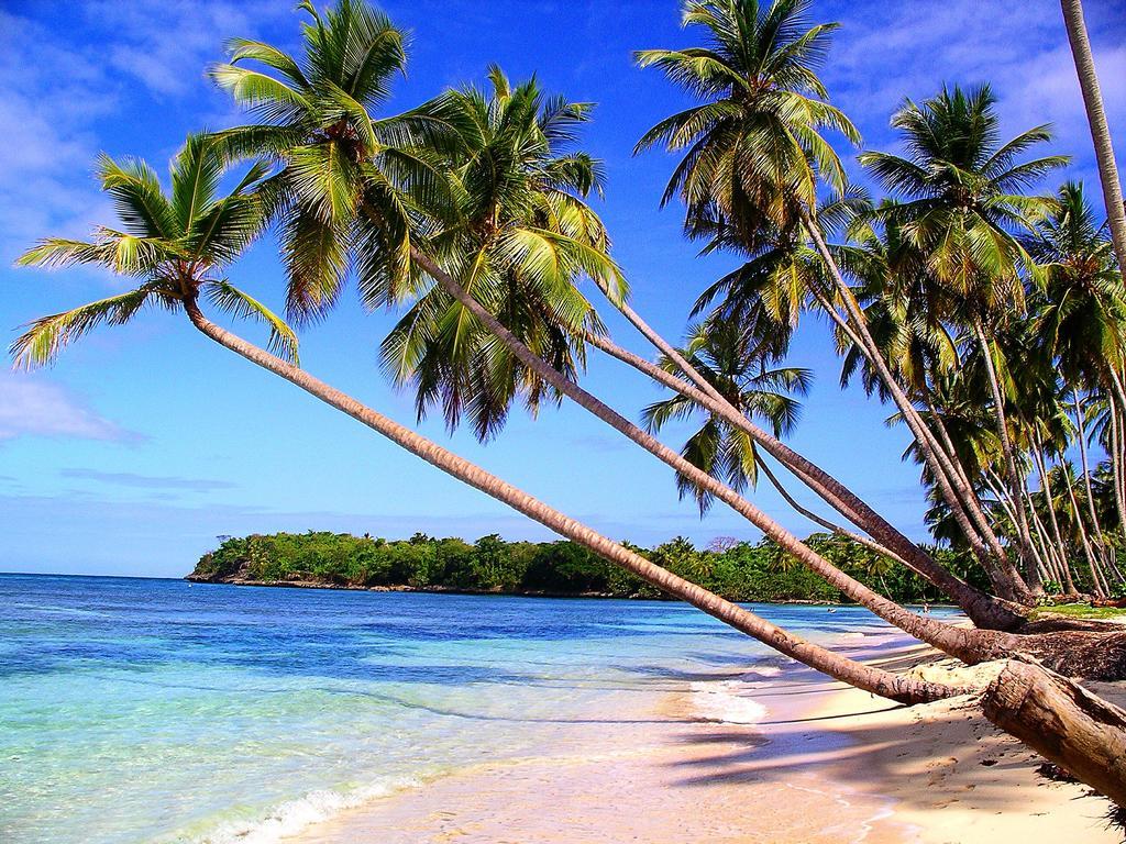Вилла Mangoplaya Деше Экстерьер фото