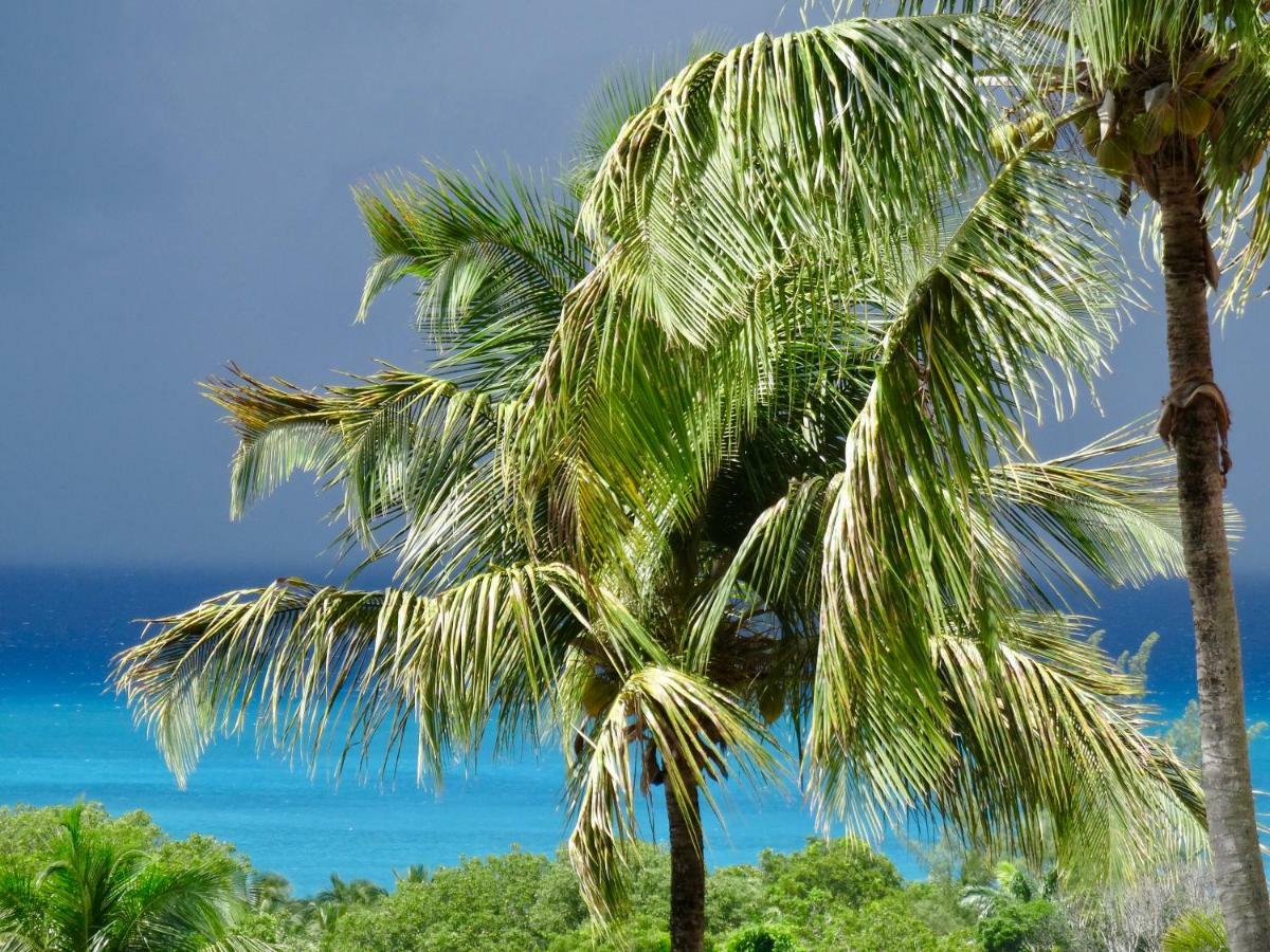 Вилла Mangoplaya Деше Экстерьер фото